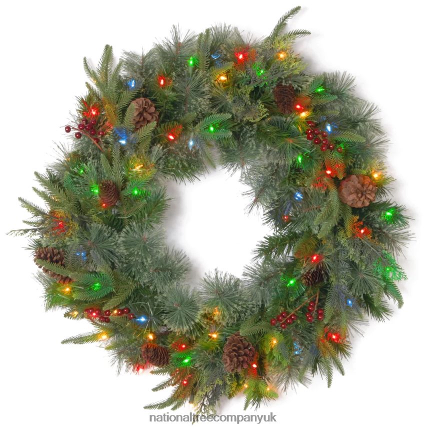 Greenery | National Tree Company Pre-Lit Artificial Christmas Wreath Green Colonial Fir White Lights Decorated with Pine Cones Berry Clusters Christmas Collection 24 Inches F2L4F253